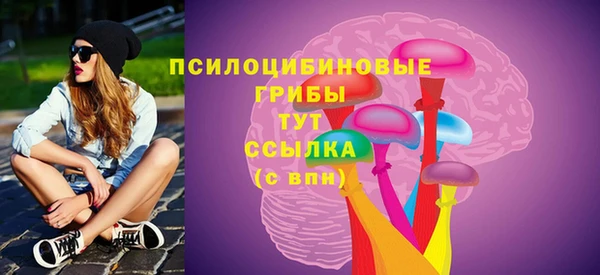 a pvp Краснослободск