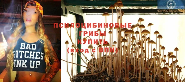 ешки Краснотурьинск