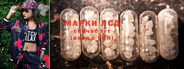 индика Красноперекопск