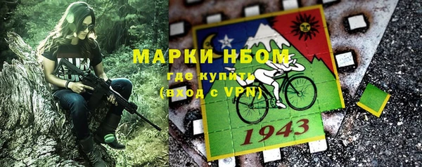индика Красноперекопск