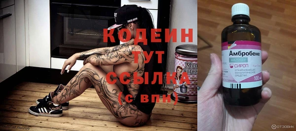 индика Красноперекопск