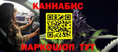 мдпв Бийск