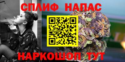 мдпв Бийск