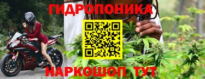 мдпв Бийск