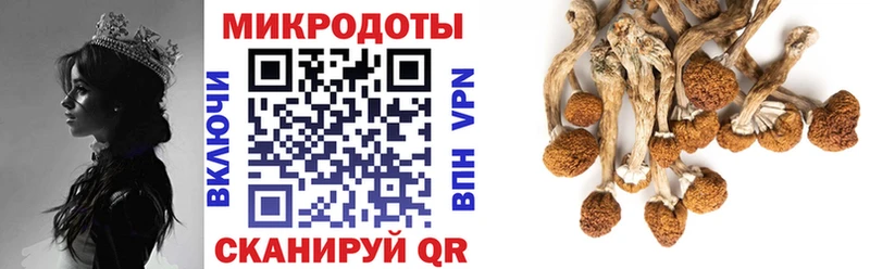 нарко площадка официальный сайт  купить закладку  Дубна  Галлюциногенные грибы Cubensis 