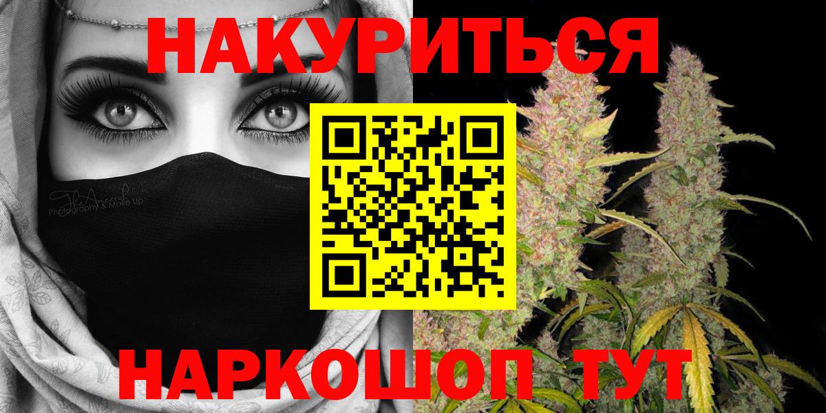Бошки Шишки конопля Дубна